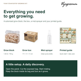 Vyrgromm Organic Grey Oyster Mushroom Home Grow Kit — Indoor DIY Harvest in 10 Days