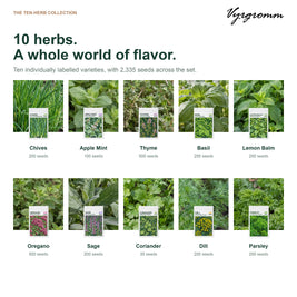 Vyrgromm 10 Culinary Herb Seeds Variety Gift Box — Premium Indoor & Patio Garden Collection