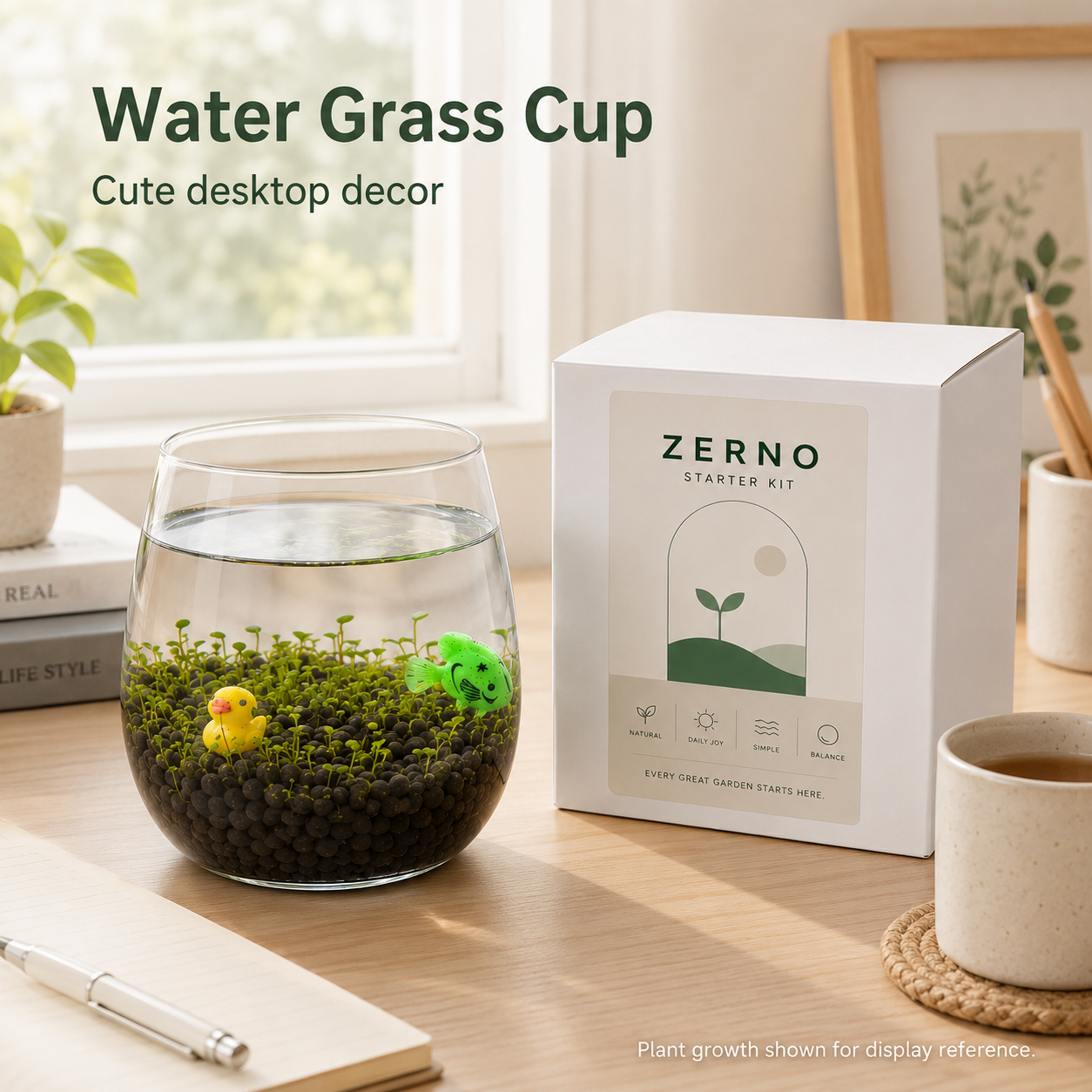 Aquatic Mini Garden Glass Cup Set