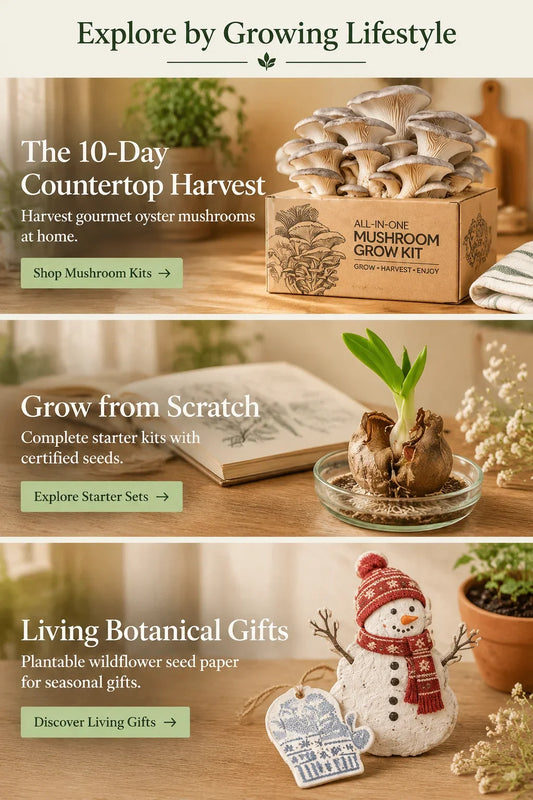 The complete guide to slow-release fertilizer for indoor plants