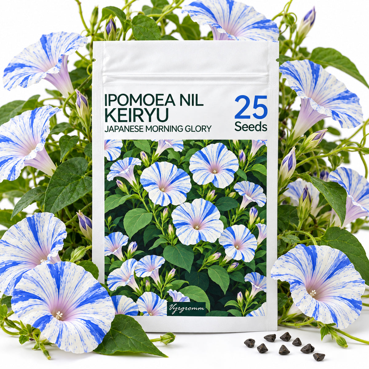Vyrgromm Blue Striped Morning Glory Climbing Flower Seeds — Japanese Asagao Trellis Vine (2-Pack)