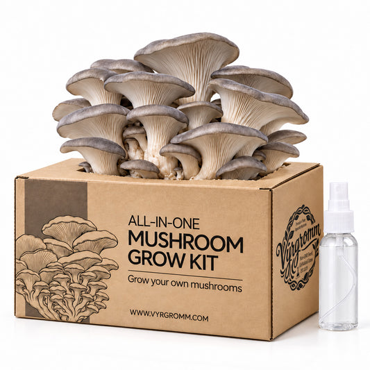 Vyrgromm Organic Grey Oyster Mushroom Home Grow Kit — Indoor DIY Harvest in 10 Days