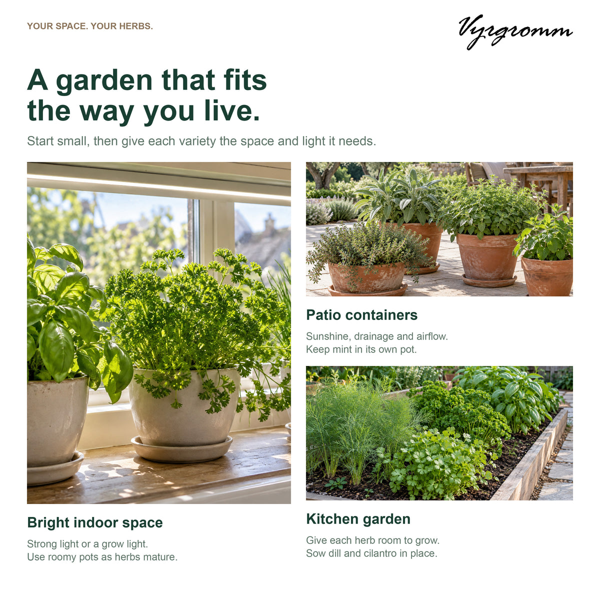 Vyrgromm 10 Culinary Herb Seeds Variety Gift Box — Premium Indoor & Patio Garden Collection