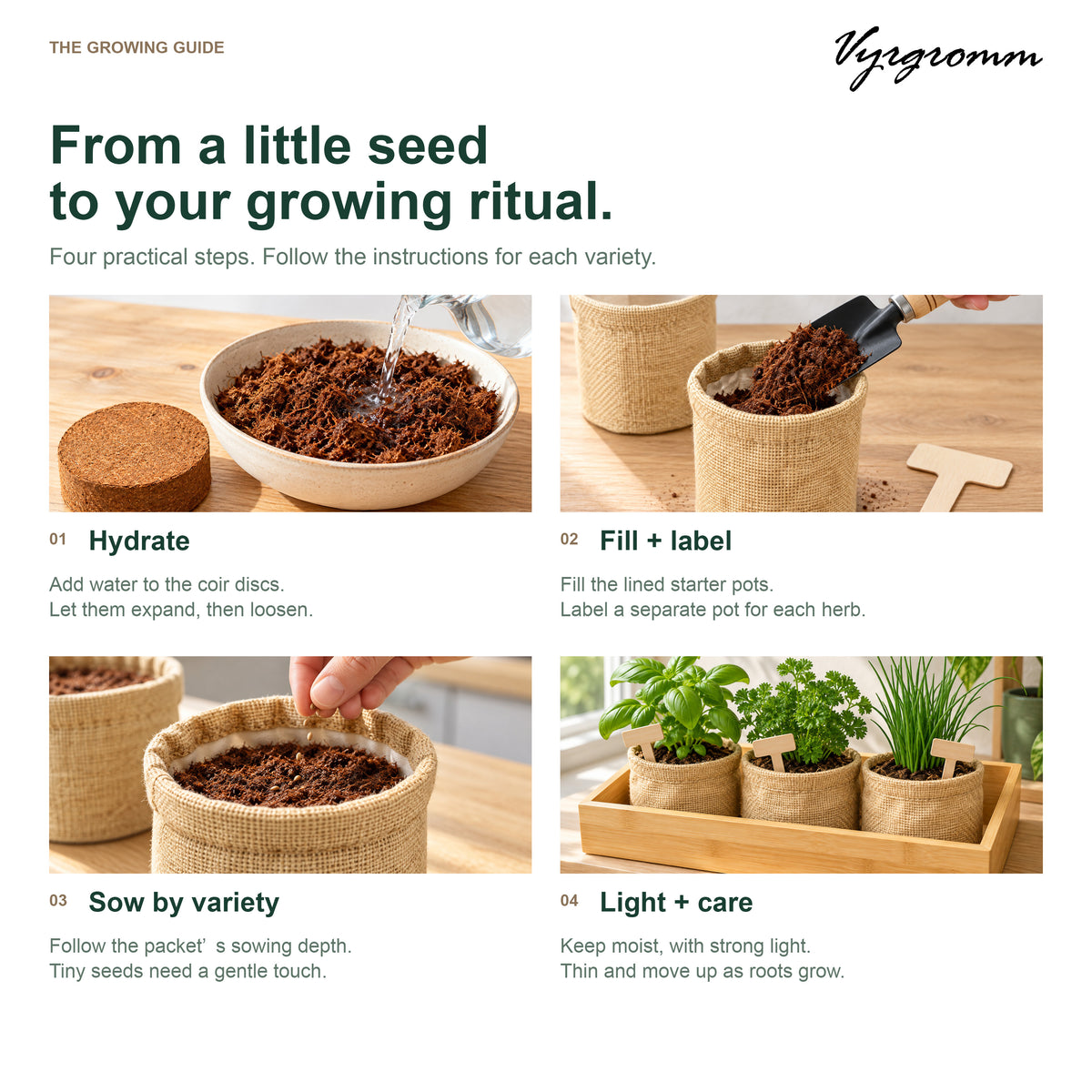Vyrgromm 10 Culinary Herb Seeds Variety Gift Box — Premium Indoor & Patio Garden Collection