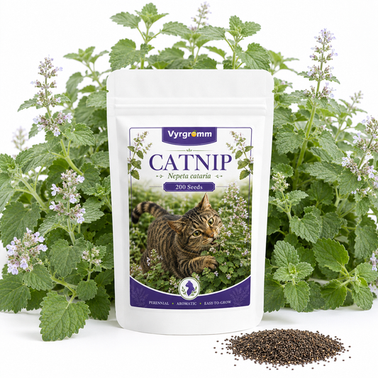 Catnip Seeds – Nepeta cataria | 200 Seeds | Perennial Herb