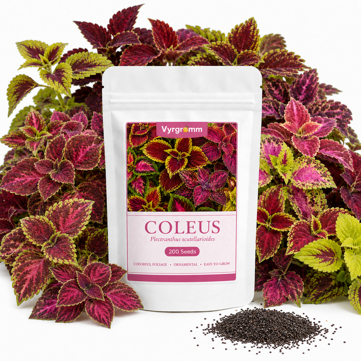 Coleus Seeds – Rainbow Mix | 200 Seeds | Colorful Foliage