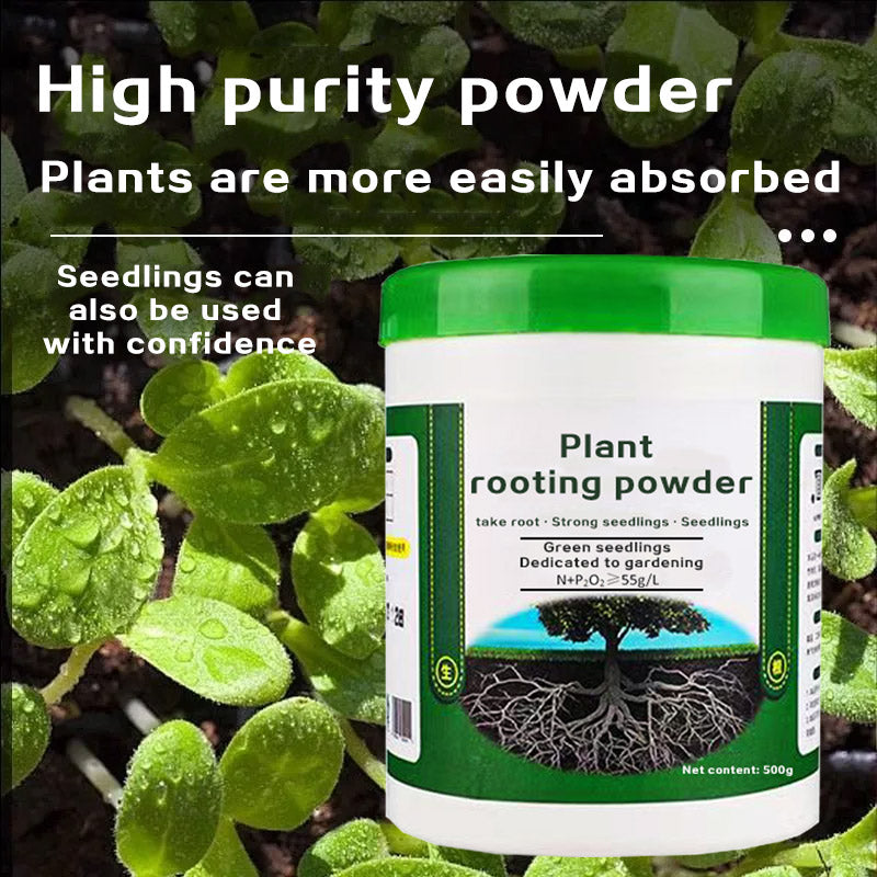 Plant Rooting Powder 500g — Fast Root Development, High Survival Rate