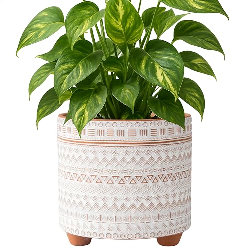 Classic 8-Inch Terracotta Planter Pot