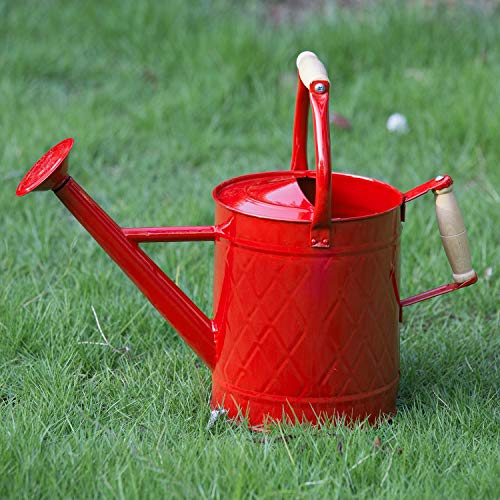 Galvanized 1 Gallon Metal Watering Can