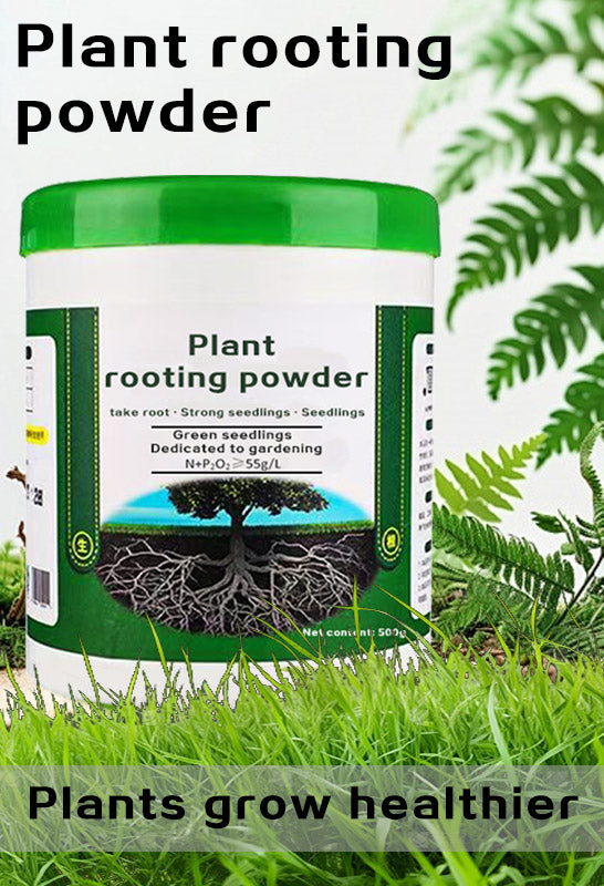 Plant Rooting Powder 500g — Fast Root Development, High Survival Rate