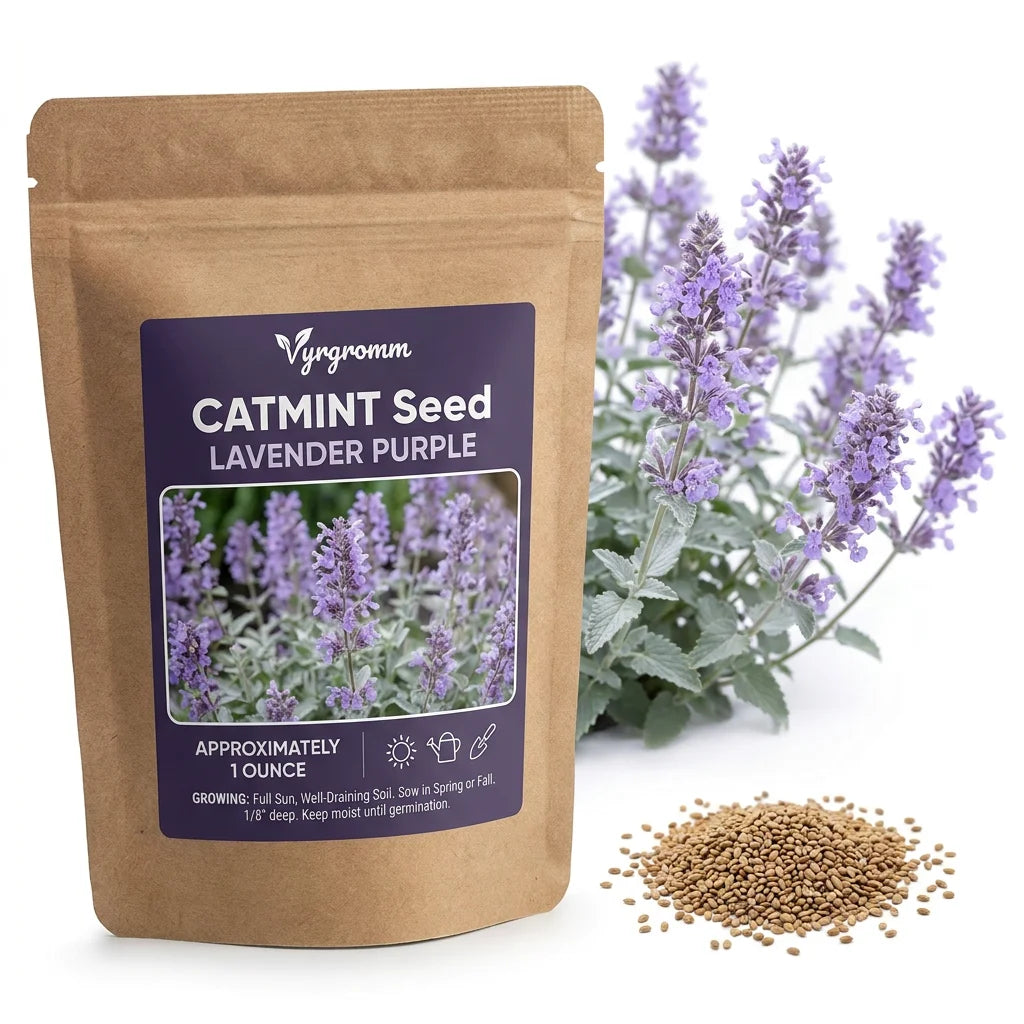 Catmint Lavender Purple - Seed Packet