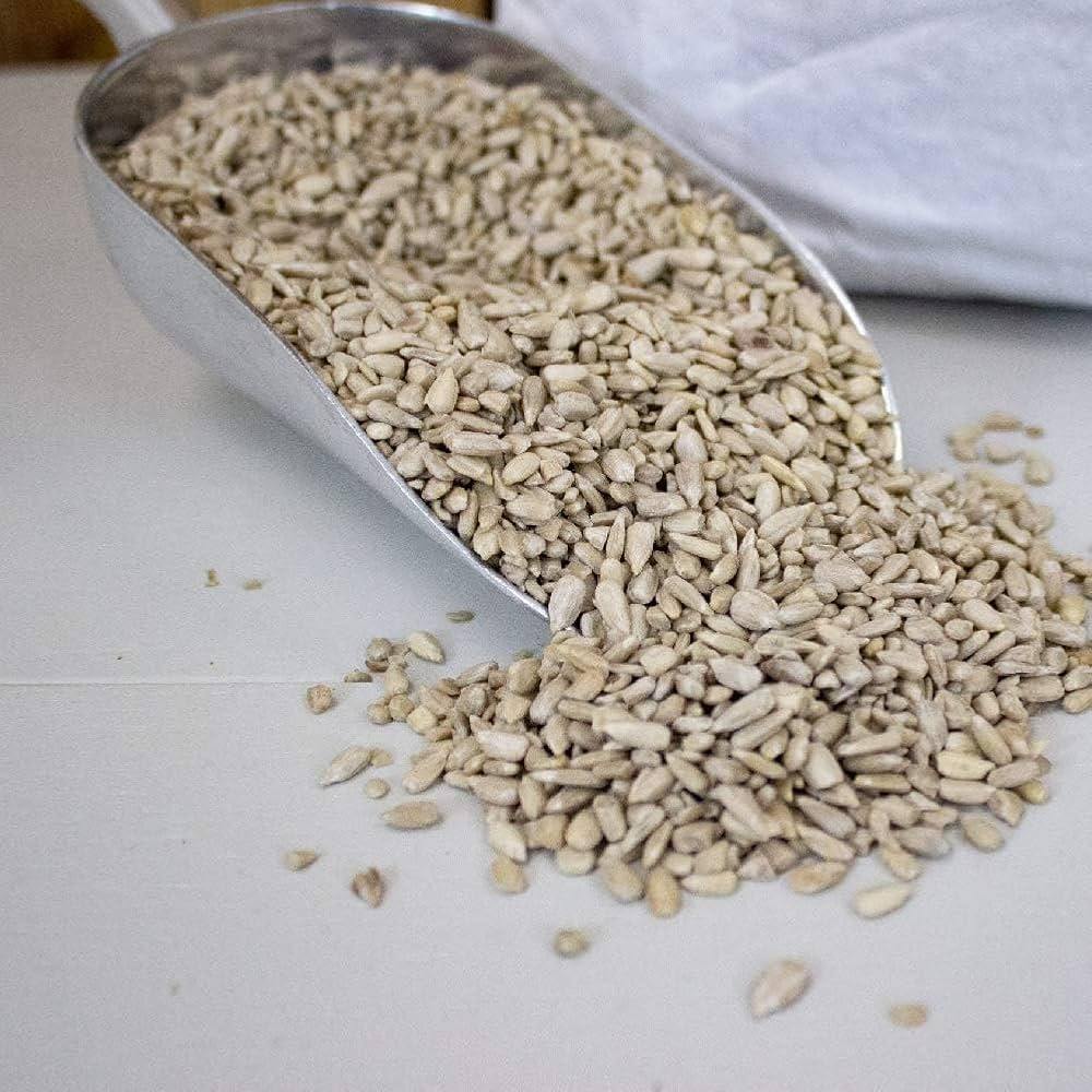 Giant Sunflower Seeds — Heirloom, Non-GMO