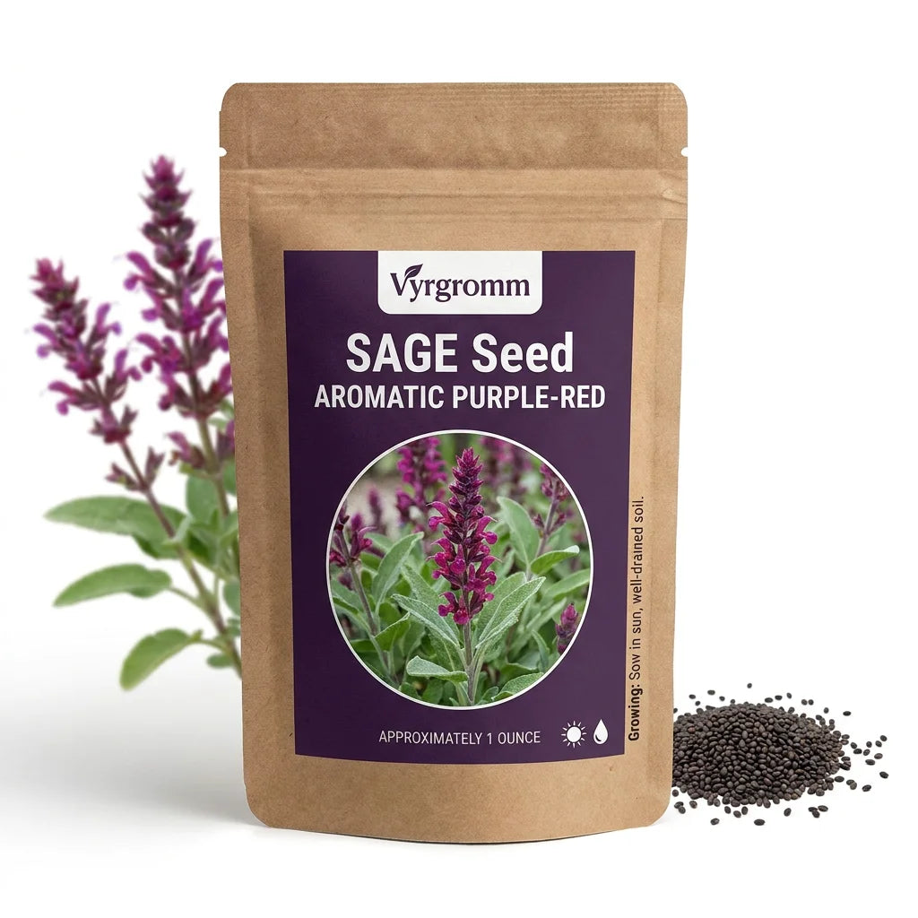 Sage Aromatic Purple-Red - Seed Packet