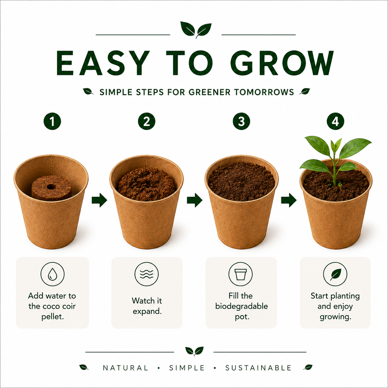 Zerno Seed Starter Kit — Egg Tray Complete Set