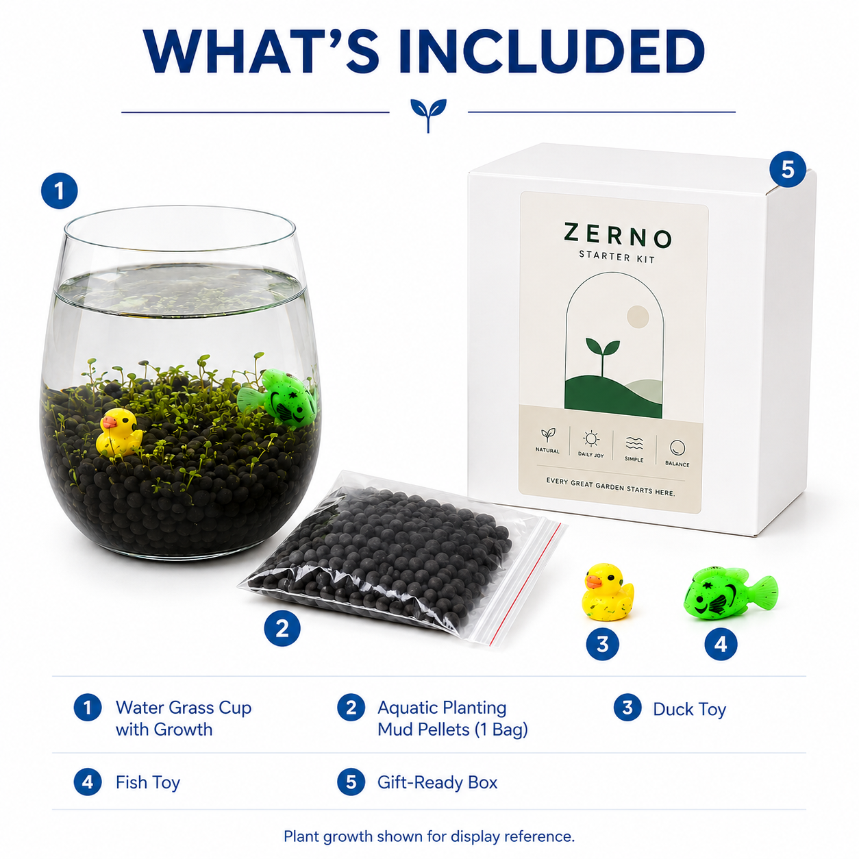 Aquatic Mini Garden Glass Cup Set