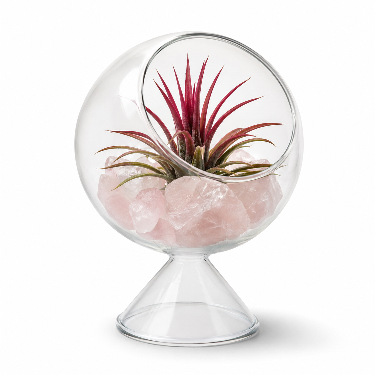 Glass Terrarium Globe with Air Plant & Rose Quartz