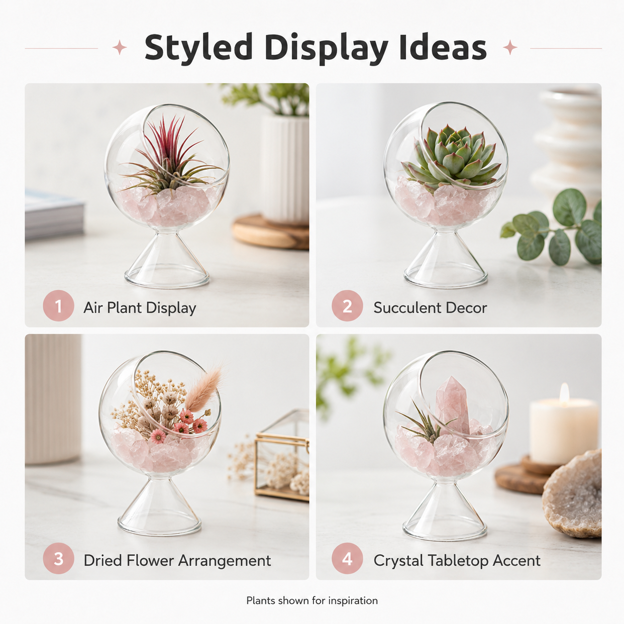 Glass Terrarium Globe with Air Plant & Rose Quartz