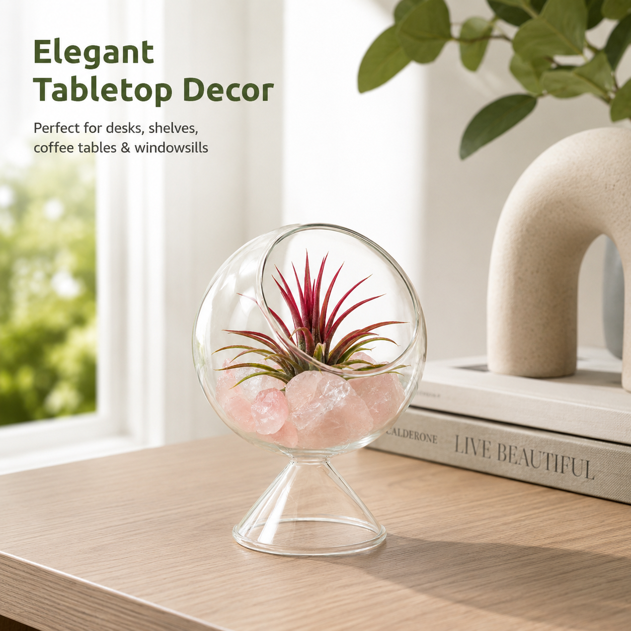 Glass Terrarium Globe with Air Plant & Rose Quartz