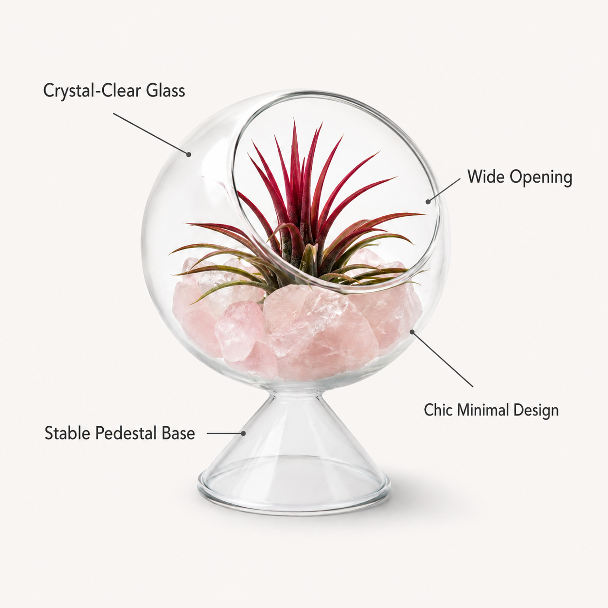 Glass Terrarium Globe with Air Plant & Rose Quartz