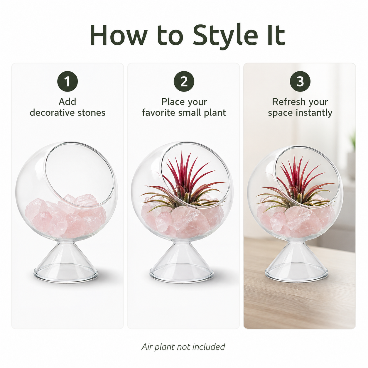 Glass Terrarium Globe with Air Plant & Rose Quartz