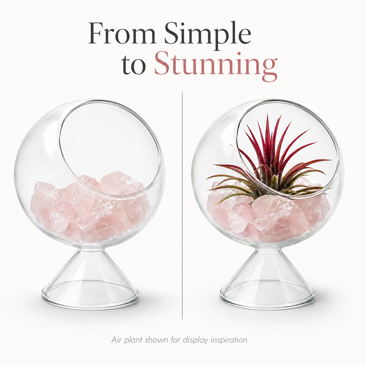 Glass Terrarium Globe with Air Plant & Rose Quartz