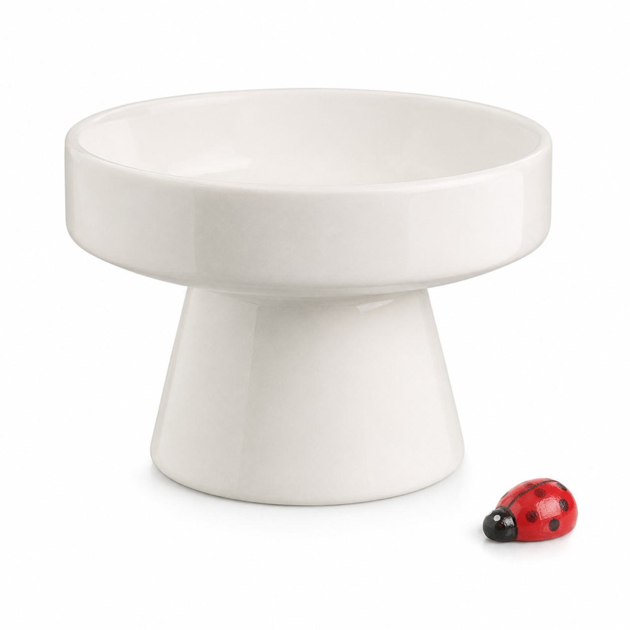 Ceramic Bowl Lotus Mini Pond Planter