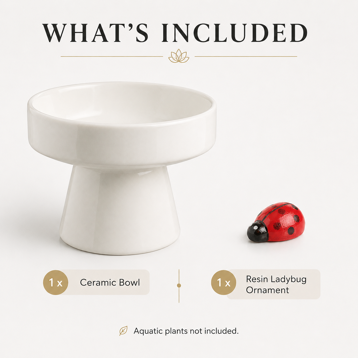 Ceramic Bowl Lotus Mini Pond Planter