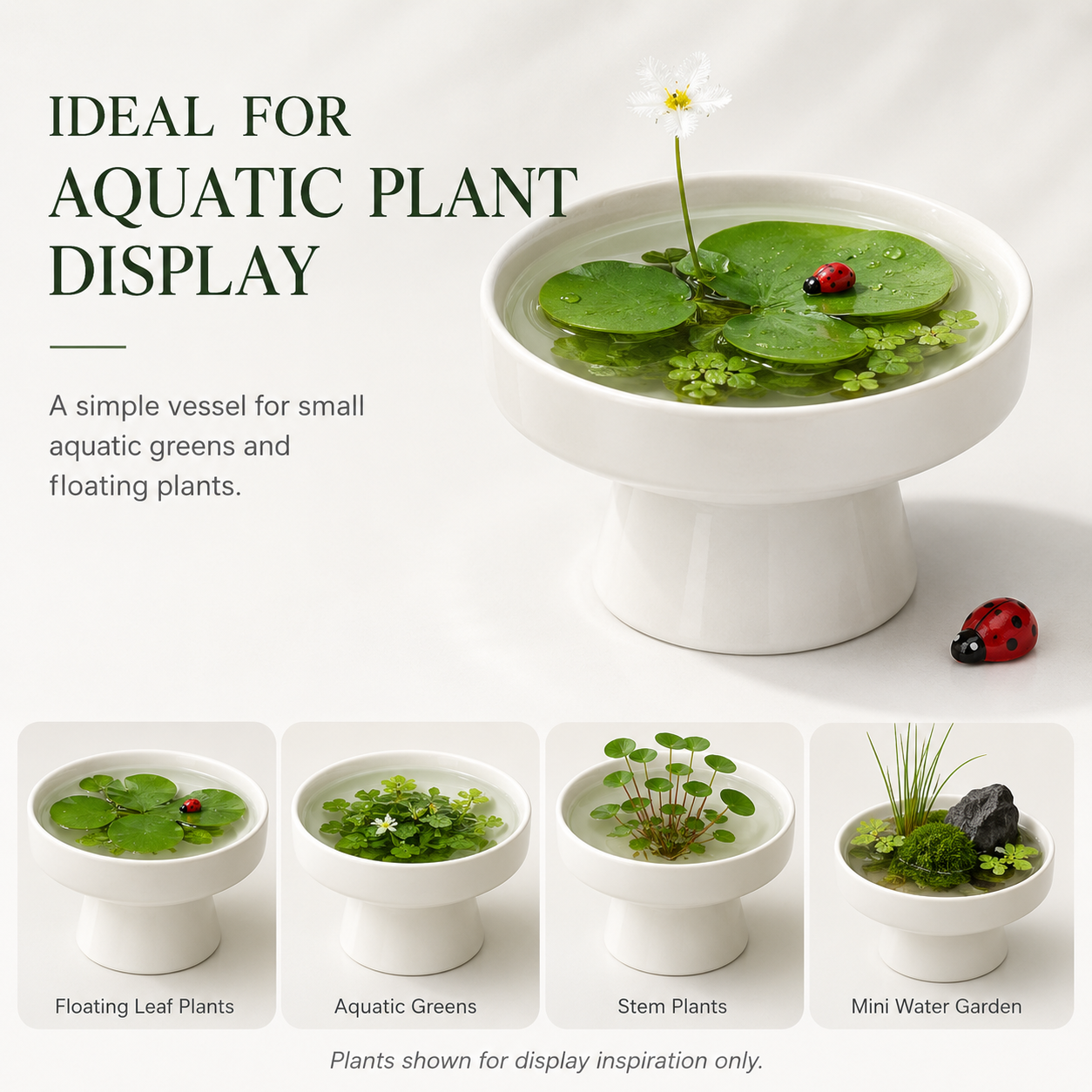 Ceramic Bowl Lotus Mini Pond Planter
