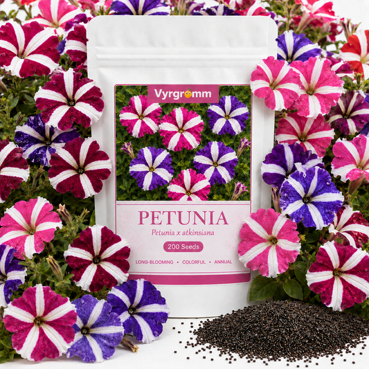 Petunia Seeds – Star Mix | 200 Seeds | Long-Blooming Annual