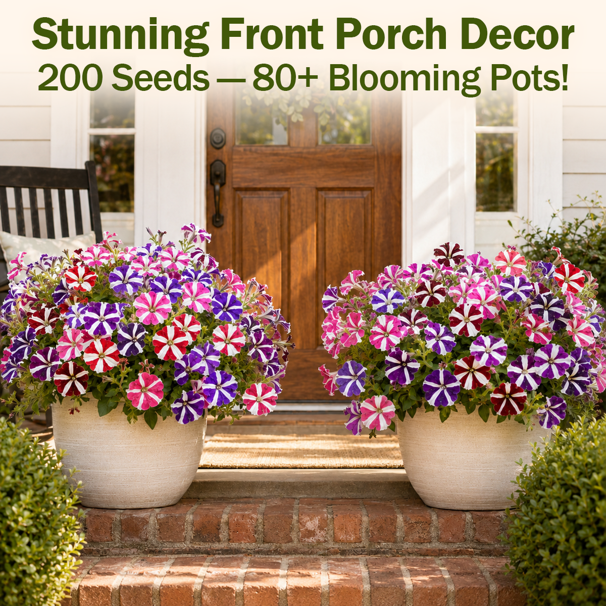 Petunia Seeds – Star Mix | 200 Seeds | Long-Blooming Annual